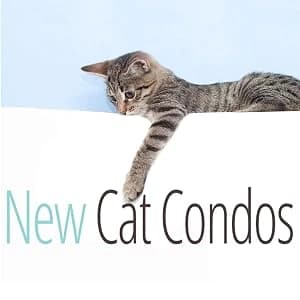 Spacious Cat Perch for Large Cats — Made in USA Cat Trees — Towers and Condos