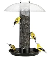 Metal Bird Feeders for Outdoors Hanging — collection imagery