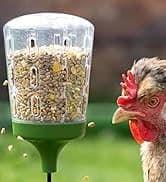 Insulated Chicken Waterer, 3 Gallon | Automatic Poultry Water Dispenser with 5 Cups and Nipples Included | — collection imagery