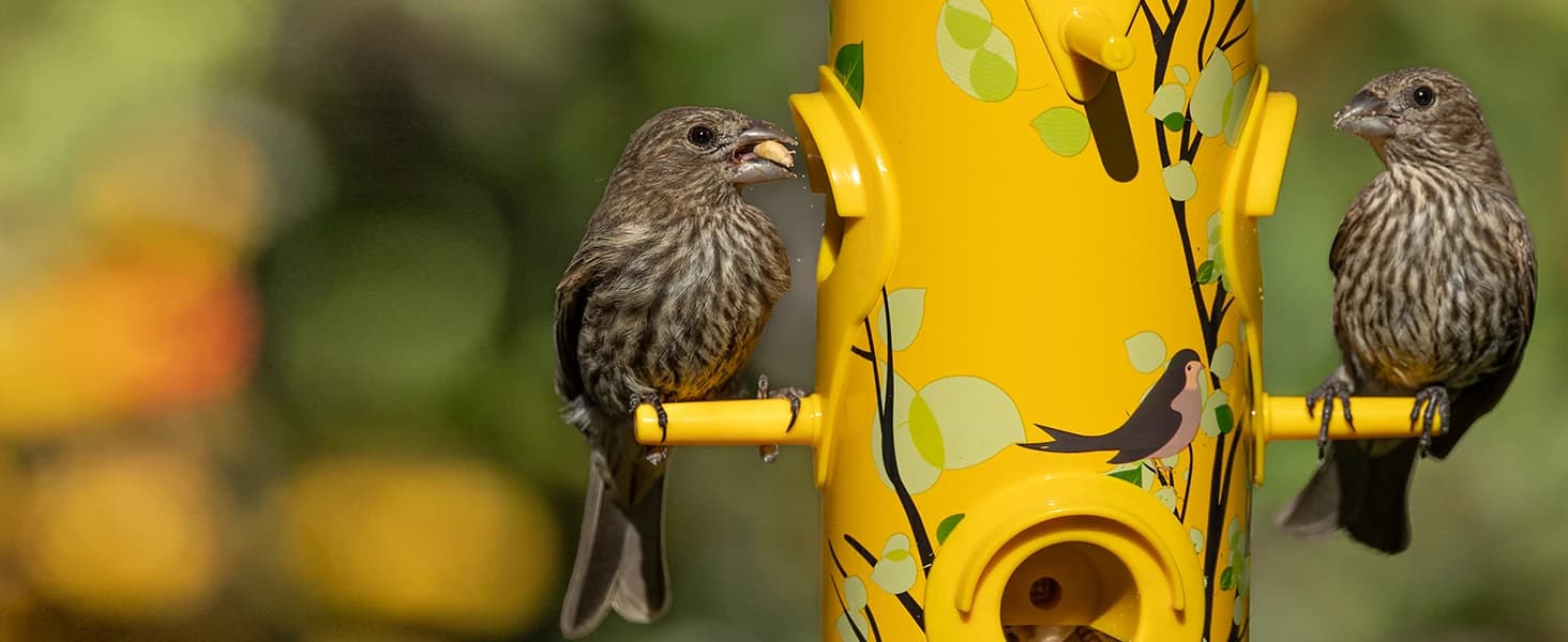 Metal Bird Feeders for Outdoors Hanging — product details