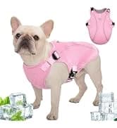 Dog Surgery Recovery Suit — Surgical Suit for Dogs Male Female — collection imagery