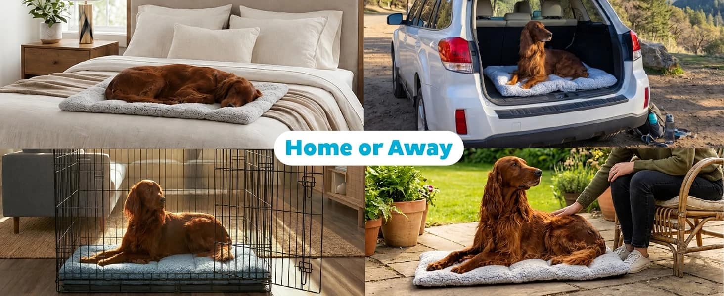 On-The-Go Travel Dog Bed — Portable Roll-Up Mat with Buckle — product details