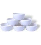 Ceramic Reptile Food Bowls — Reptile Water Food Dish — collection imagery