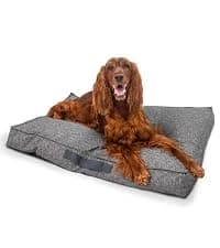 On-The-Go Travel Dog Bed — Portable Roll-Up Mat with Buckle — collection imagery