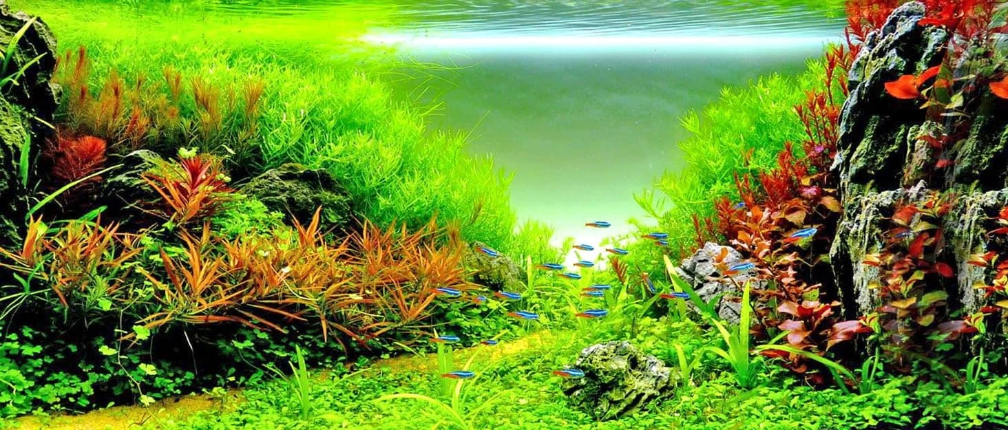Aquarium Air Pump — Quiet Adjustable Fish Tank Air Pump — collection imagery