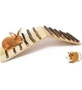 Turtle Basking Platform Baby Tortoise Climbing Ramp Shale Reptiles Dock Resting Terrace Stone Aquarium Ornament — collection imagery