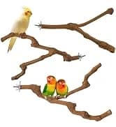 4PCS Bird Parrot Foraging Toys Parakeet Chewing Hanging Toy Shredded Paper Cage Accessories for Small Parrots — collection imagery