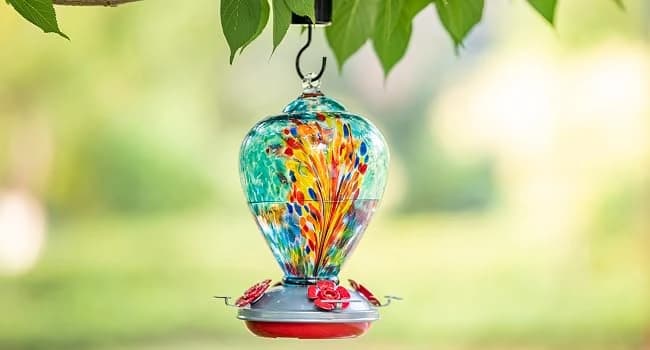 Hummingbird Feeders for Outdoors Hanging — WHY IS BETTER?