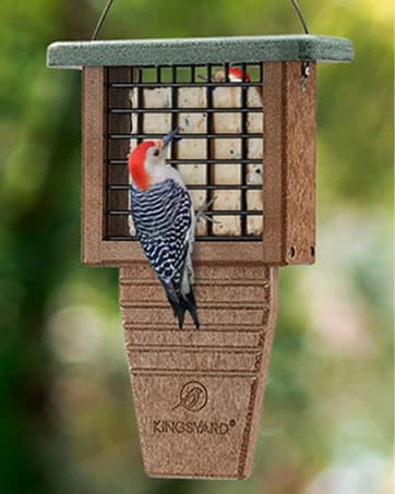 Metal Bird Feeders for Outdoors Hanging — collection imagery