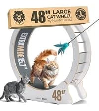 48'' XL Cat Wheel β Safe, Quiet and Stable Exercise Wheel for Large Indoor Cats up to 45 lbs β 15.7'' β collection imagery