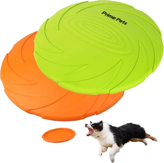 Dog Flying Disc — 2 Pack