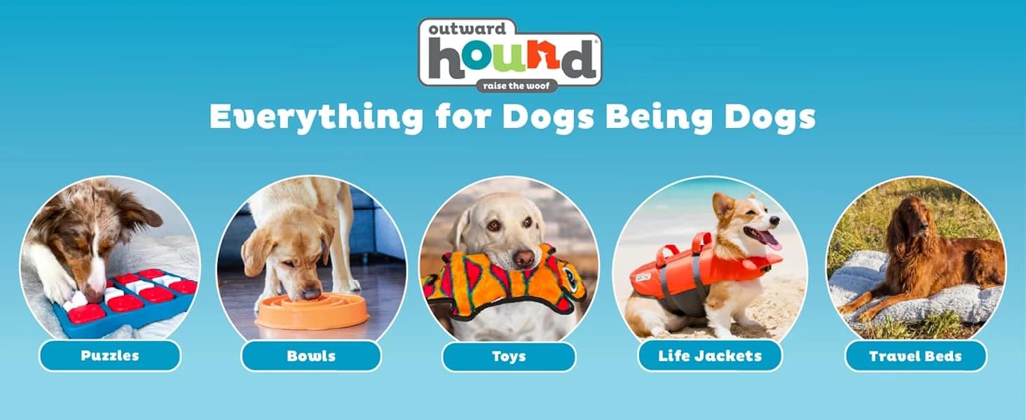 On-The-Go Travel Dog Bed — Portable Roll-Up Mat with Buckle — product details