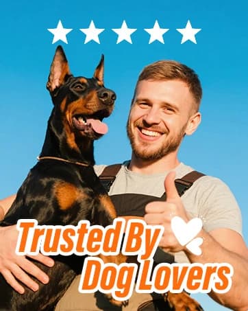 Dog Bark Deterrent Device — 3X Ultrasonic Anti Barking Devices — collection imagery