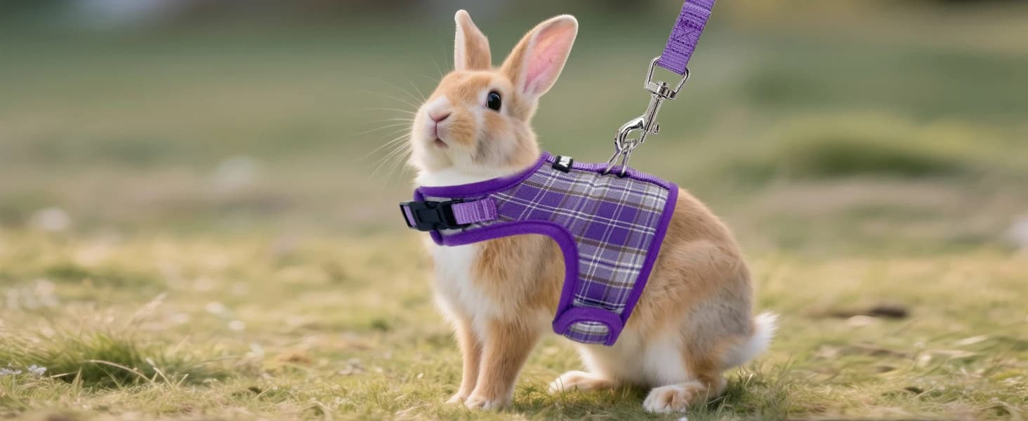 Plaid Breathable Rabbit Harness and Leash Set Escape Proof — product details