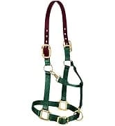 Supply Original Non-Adjustable Nylon Horse Halter – Durable Nylon — collection imagery
