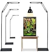 3 in 1 Reptile Hide Cave with Detachable Base and Humidity Dish — collection imagery