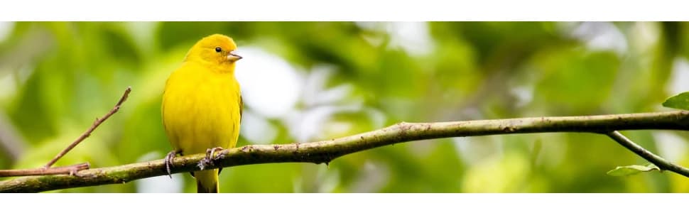 Quick Lock Bird Cage Bath for Lovebirds — collection imagery