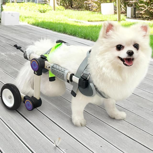 Dog Wheelchair for Back Legs — Adjustable Mobility Cart for Dog