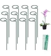 Glass Hummingbird Feeder for Outdoors Hanging — collection imagery
