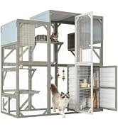 Outdoor Cat Catio Enclosures Large Wooden Cat House Patio for Indoor Cats Feral Cat Shelter with 2 Espace Doors — collection imagery