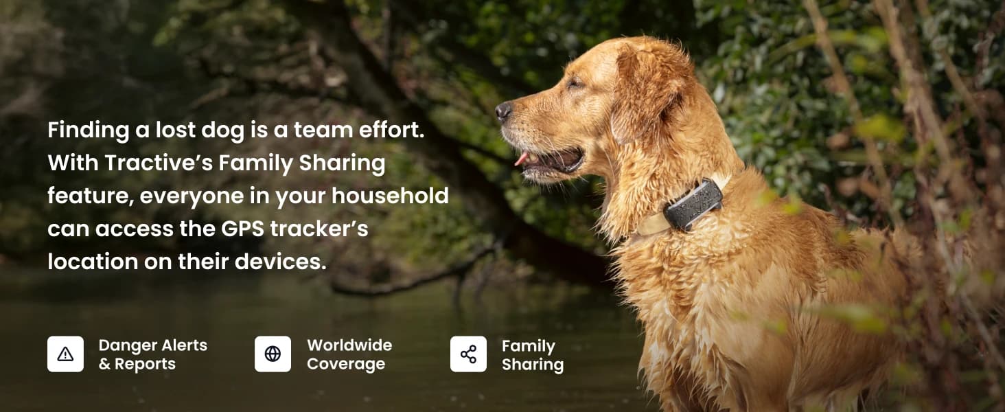 XL Smart Dog GPS Tracker | Live Pet Tracker with Virtual Fence | Vital Signs Monitoring of Heart and — product details