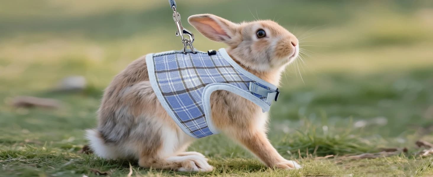 Plaid Breathable Rabbit Harness and Leash Set Escape Proof — product details