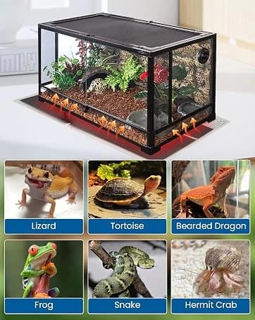 Reptile Terrarium Heat Pad with LCD Digital Aquarium Thermometer — collection imagery