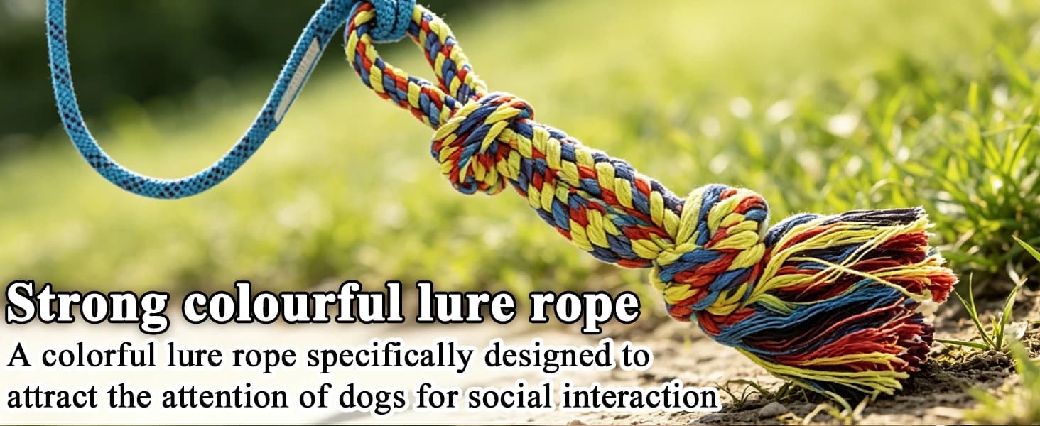 Flirt Pole for Dogs — Interactive Pole for Small — product details