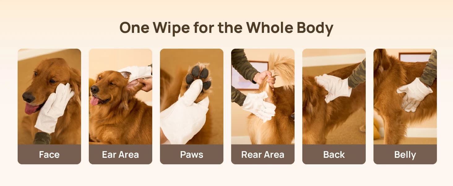 Dog Wipes for Dogs and Cats — Glove Design — collection imagery