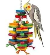 Bird Toys Sola Balls 2.36'' - 6PCS — Bird Foraging Toy — collection imagery