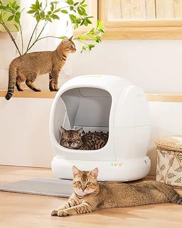 Self-Cleaning Cat Litter Box — collection imagery
