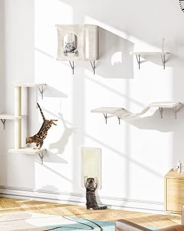 Cat Wall Shelves — 6 Pcs Luxury Wall-Mounted Cat Climber Set — collection imagery