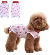 Dog Backpack for Small Dogs to Wear — collection imagery