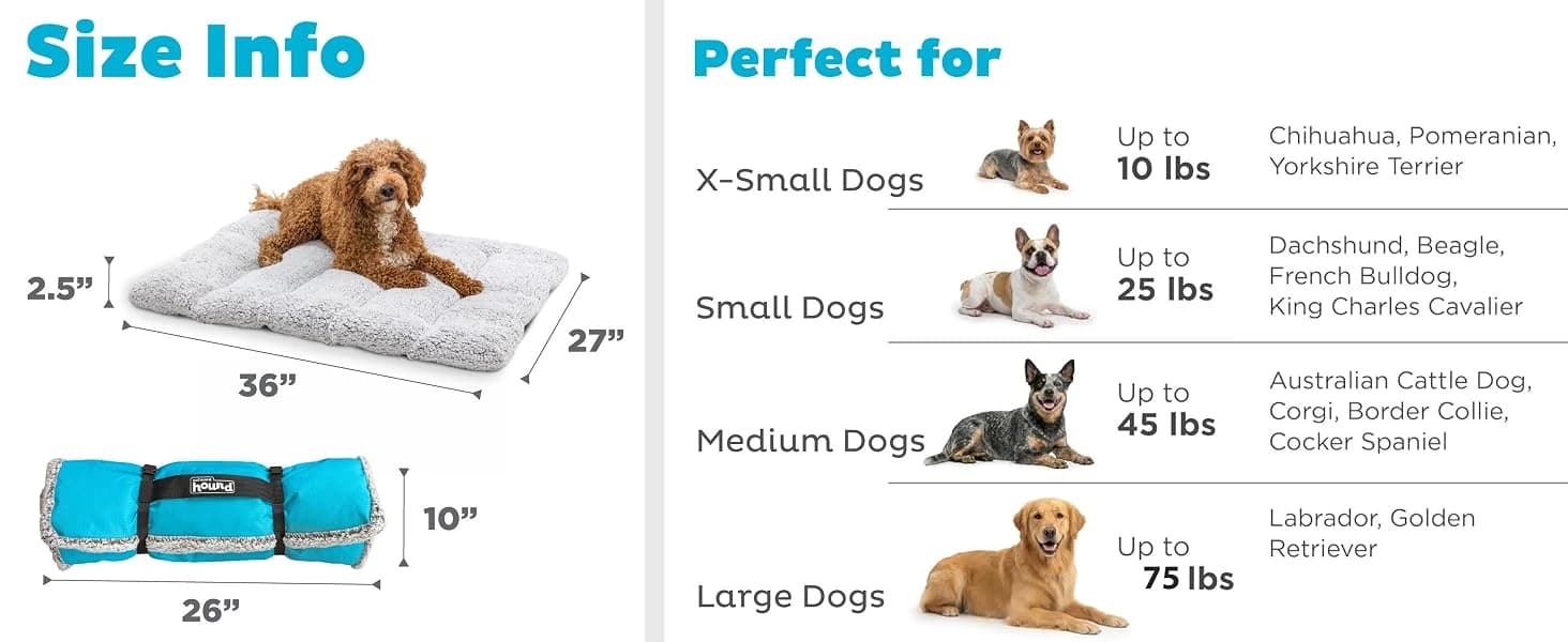 On-The-Go Travel Dog Bed — Portable Roll-Up Mat with Buckle — product details