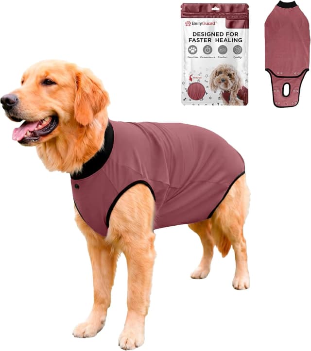 Dog Surgery Recovery Suit — Male Female After Spay Neuter Onesie