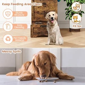 Dog Feeding Station with 2 Elevated Bowls ā collection imagery