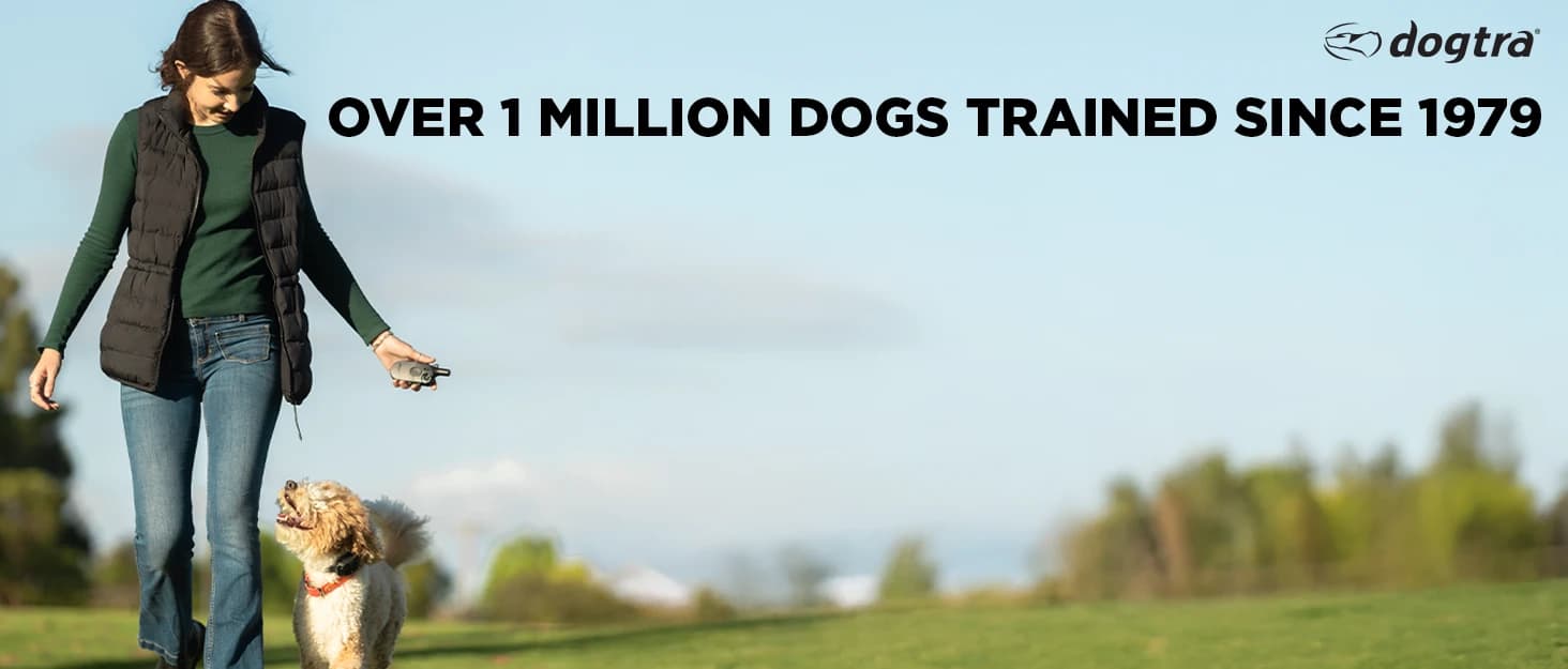 Pathfinder 2 GPS Dog Tracker e Collar 9 Mile Long Range LED Light No Monthly fees Free App Waterproof — collection imagery