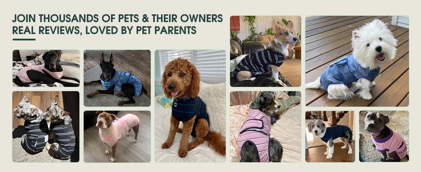 Dog Surgery Recovery Suit — Surgical Suit for Dogs Male Female — product details