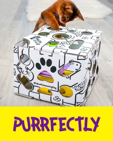 Sliders β Puzzle Toy for Indoor Cats β Treat Box Interactive Maze β Enrichment Feeder β Best Cat Toy Ever! β collection imagery