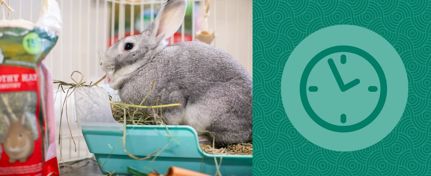 Eco Straw Rabbit Litter Pellets — collection imagery