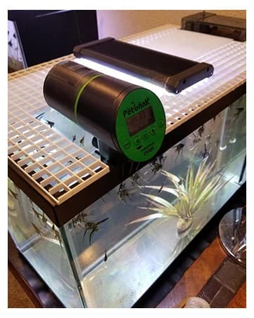 Automatic Fish Feeder for Aquarium Easy Setup & 4 Timers — collection imagery