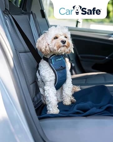 Crash Tested Dog Safety Harness | Size M — collection imagery