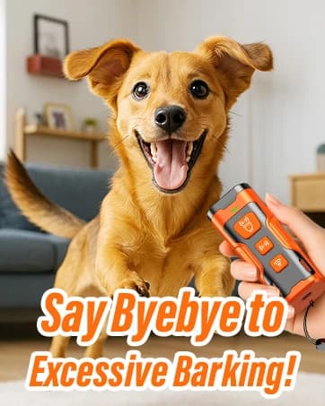 Dog Bark Deterrent Device — 3X Ultrasonic Anti Barking Devices — collection imagery
