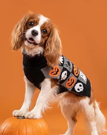 Dog Cooling Vest Evaporative Dog Cooler Jacket for Summer Outdoor — collection imagery