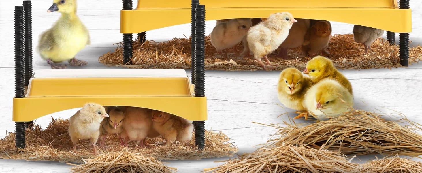 Ecoglow Safety 600 Chick or Duckling Brooder — product details
