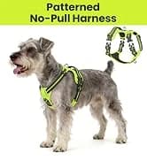 Dog Life Vest Rip Stop Dog Swim Vest — collection imagery