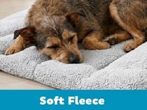 On-The-Go Travel Dog Bed — Portable Roll-Up Mat with Buckle — Comfort Wherever You Land