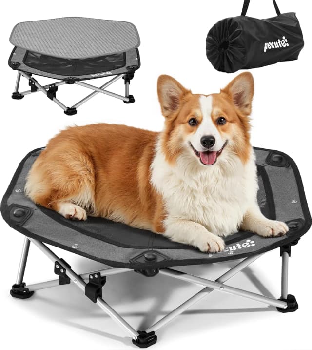 Raised Dog Bed with Cooling Mat