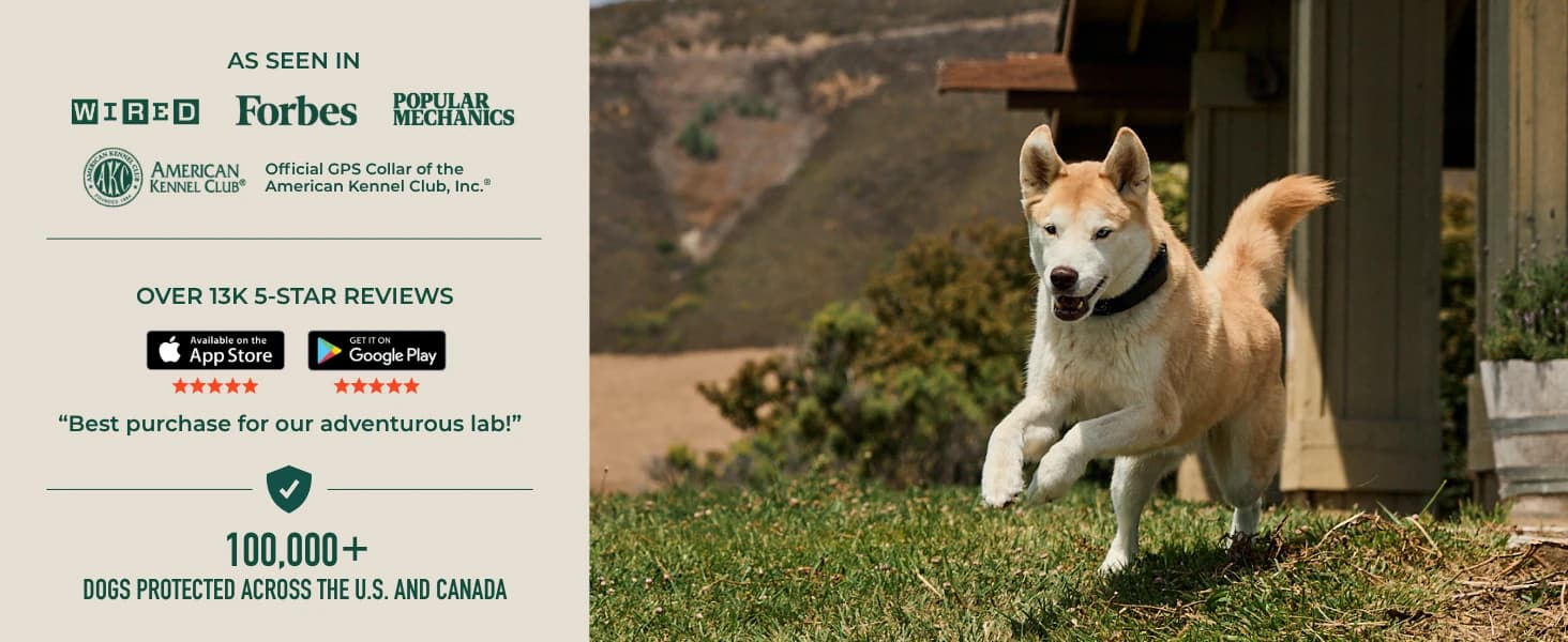 Nova GPS Dog Fence Collar — App-Controlled Wireless Fence — product details
