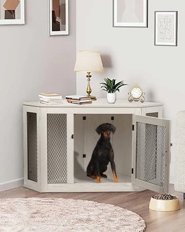 8x4x6FT Outdoor Dog Kennel for Large Dogs — collection imagery